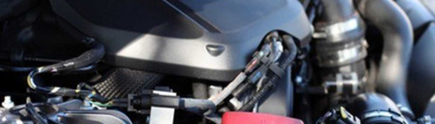 Marderbisse in einem Motorraum erkennen und vermeiden