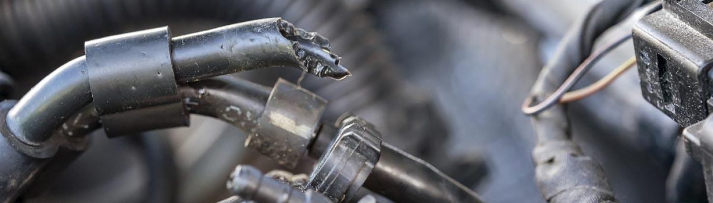 Marderschaden im Fahrzeug - zerbissene Kabel